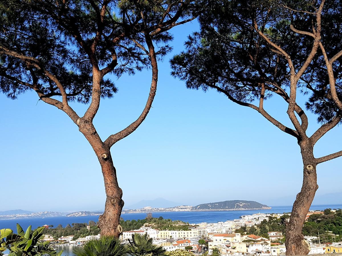 Ischia Dream Visions Apartamento Exterior foto