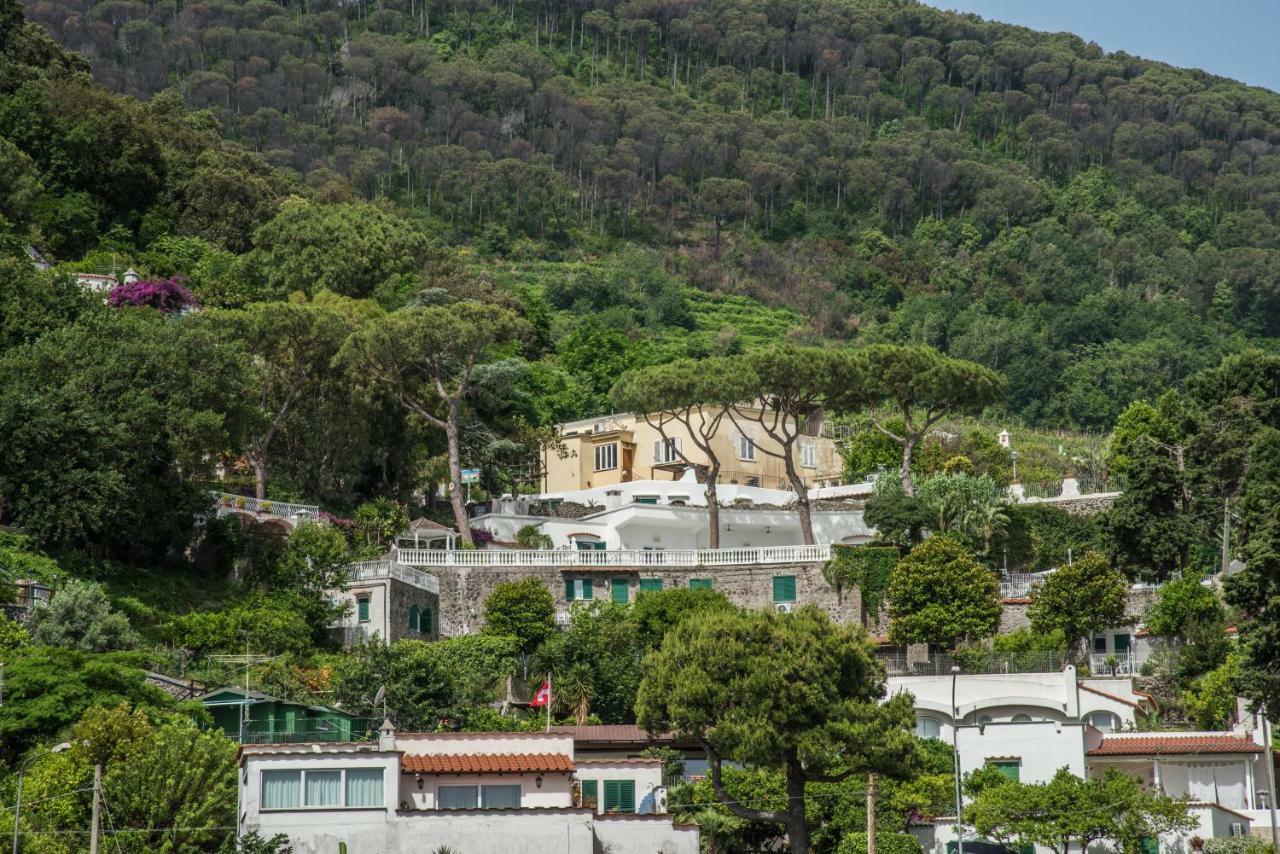 Ischia Dream Visions Apartamento Exterior foto